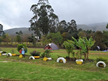 Pitches and shrubs