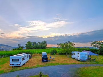 Grass pitches