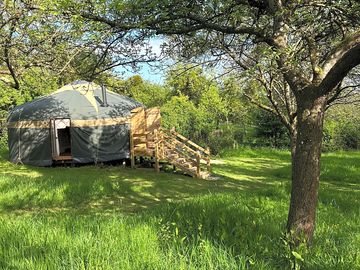 Yurt in the trees (added by manager 30 Jun 2022)
