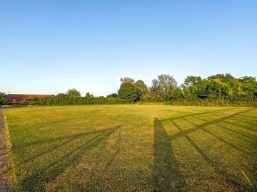 Grass pitches edged by trees