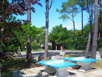 Tennis, table tennis and playground