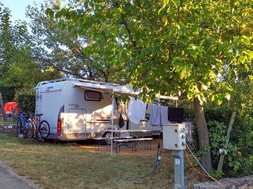 Pitches under the shade of trees
