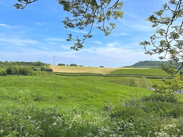Views across the site (added by manager 10 Jun 2021)