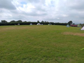 Big open field with lots of space (added by visitor 28 Aug 2021)