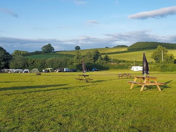 View of the beer garden and pitches (added by manager 05 Jul 2022)