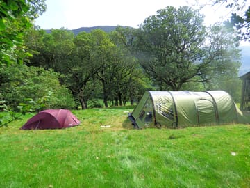 Family camping in Blueball Wood (added by manager 11 Aug 2020)