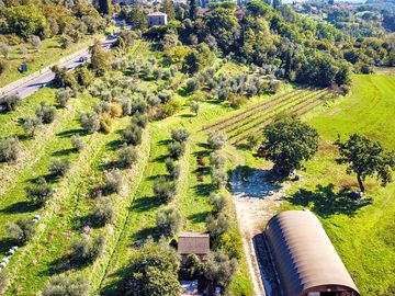 Aerial view of the site