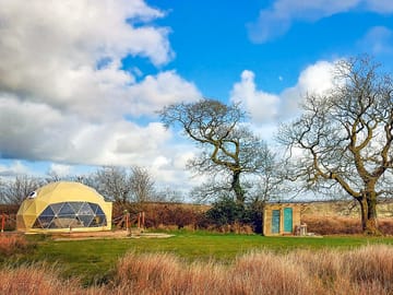 Dome next to an ancient oak tree (added by manager 16 Sep 2022)