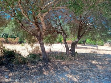 Terreno autonomo in campagna e vicino al mare, Sardegna, per camper o roulotte, 20 euro al giorno
