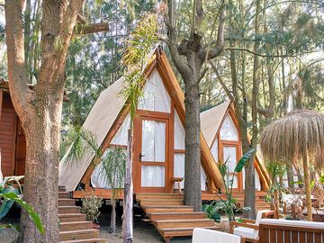 Safari tent surrounded by trees (added by manager 28 Jul 2023)