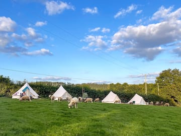 Visitor image of the view of the bell tents from the tent pitches (added by manager 10 Feb 2023)