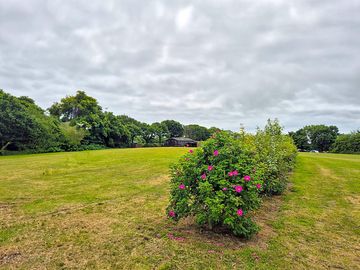 Spacious camping field with no allocated pitches