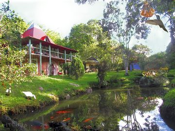 Reception overlooking the fish pond