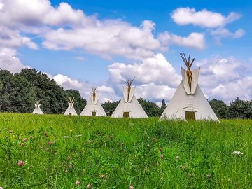 Tipis on the camping field (added by manager 05 Dec 2023)