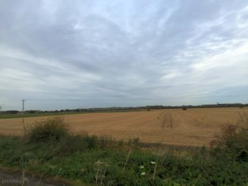 Views over the site