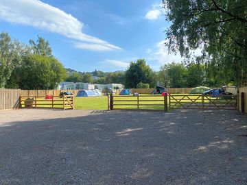 Pitches surrounded by trees
