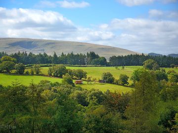 Rural bliss