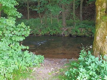 Access to the ilm river on the camping field