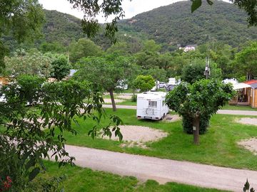 Around the site