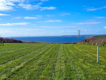 Grass pitch