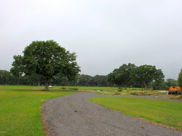 General view of the site