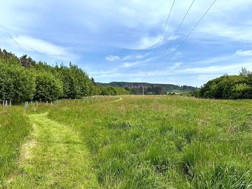 Our 20 acre dog walking field
