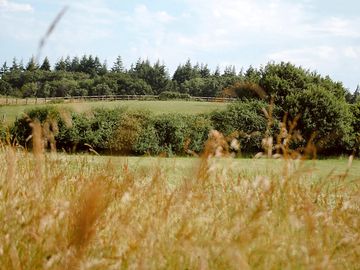 Rural setting