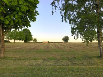 View of the site