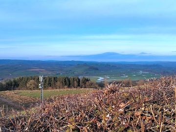 Photo taken a short walk from the campsite looking down on the tywi valley. spot the river tywi :)