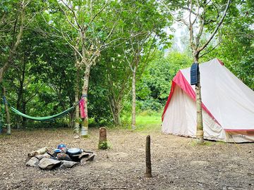 Spacious woodland camping pitch with stone firepit