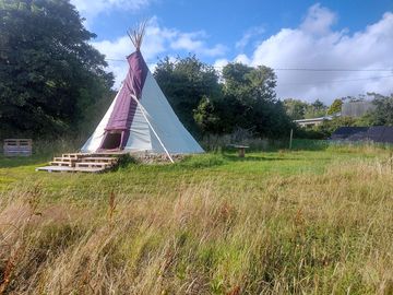 Tipi