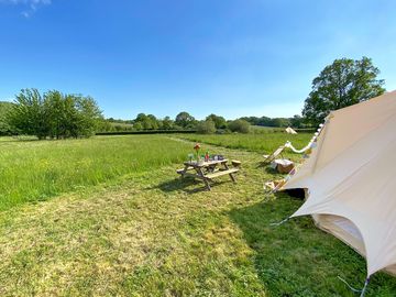 Views across the meadow