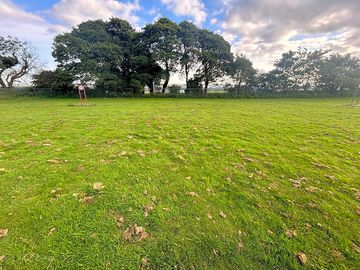 Grass tent pitches