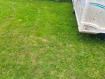 Mown grass pitches with electric hook-ups