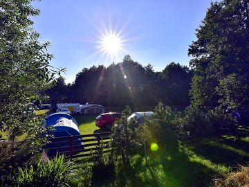 Around the camspite