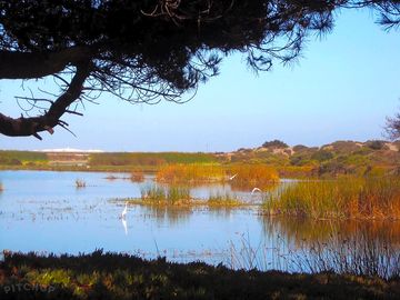 Explore the natural surroundings
