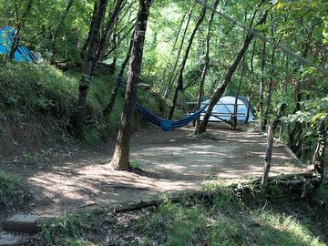 Forest pitch