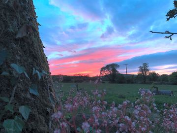 Sunset on the smallholding