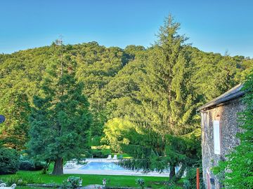 Pool among the trees