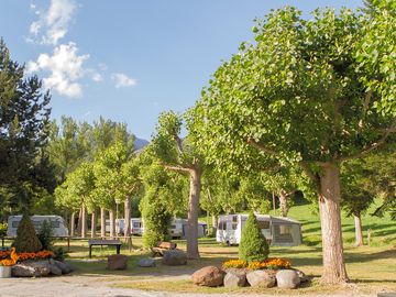 Pitches surrounded by trees