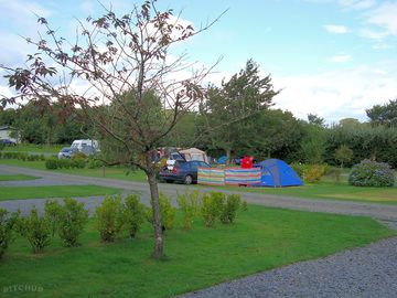 Set up among the trees
