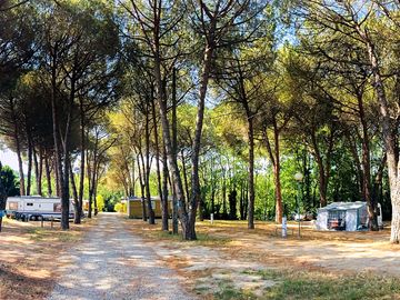 View of the campsite