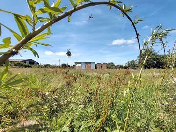 Amenities block in the distance