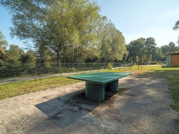 Ping-pong table