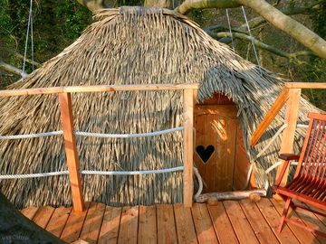 Grand hêtre's thatched roof