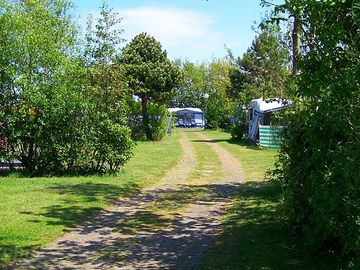 Track to the pitches