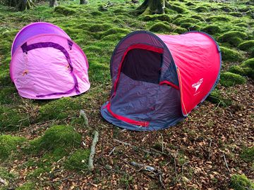 Tent pitch on the lawned area