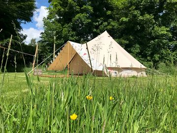 Bell tent in the meadow