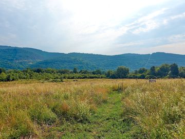 The orchard and peaceful valley beyond