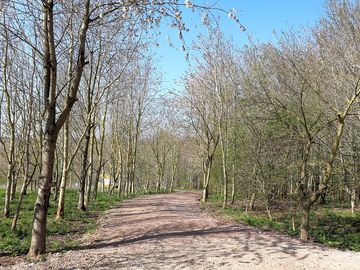 Track to campsite